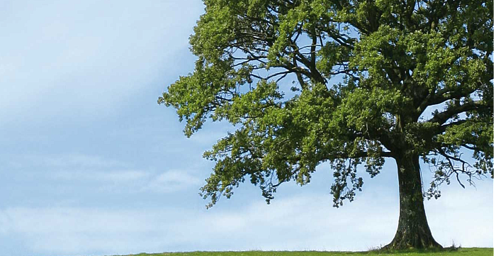 Эффективность и забота об окружающей среде Эффективность и забота об окружающей среде